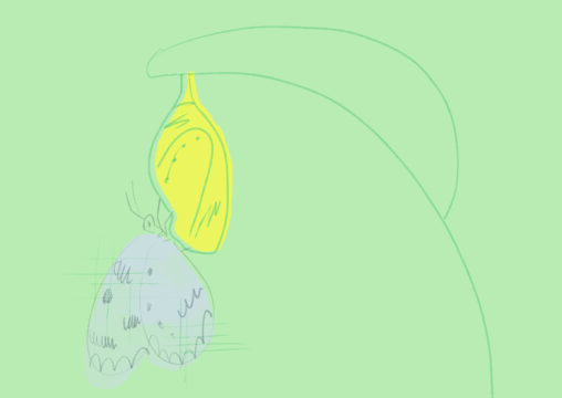 サナギとちょう